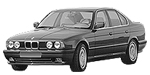 BMW E34 P2225 Fault Code